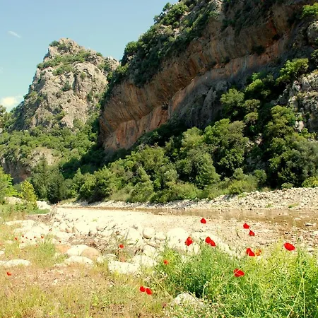 Dionysos 3* Çıralı