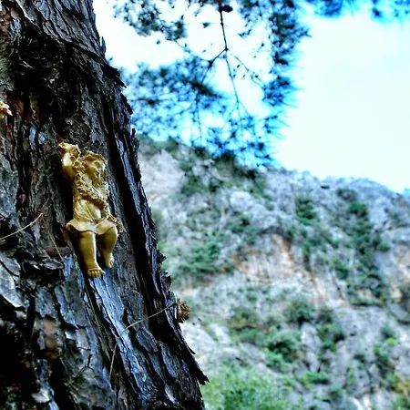 Dionysos Çıralı