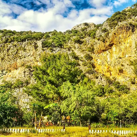 Dionysos 3* Çıralı