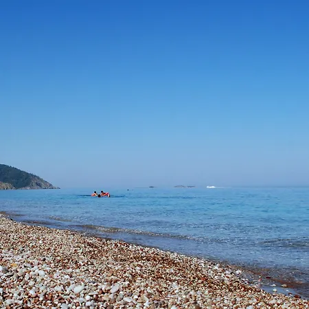 Dionysos 3* Çıralı