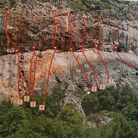 Gasthof Dionysos Çıralı