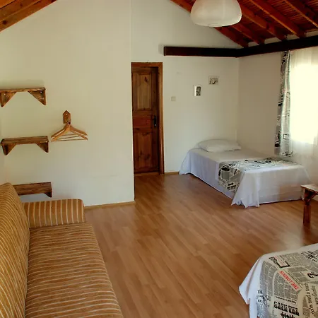 Pensjonat Dionysos 3*