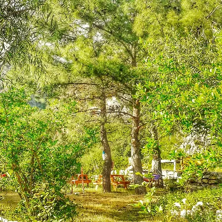 Pensjonat Dionysos 3*