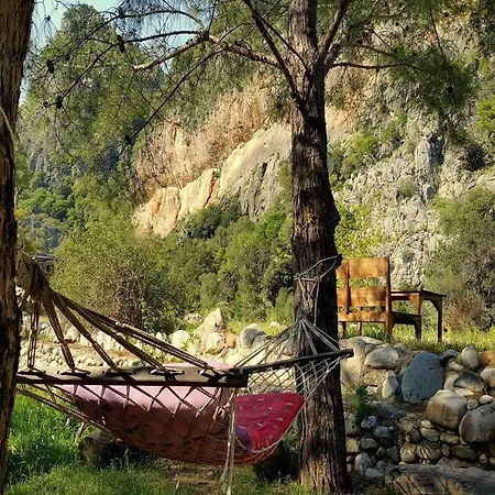 Pensjonat Dionysos Çıralı
